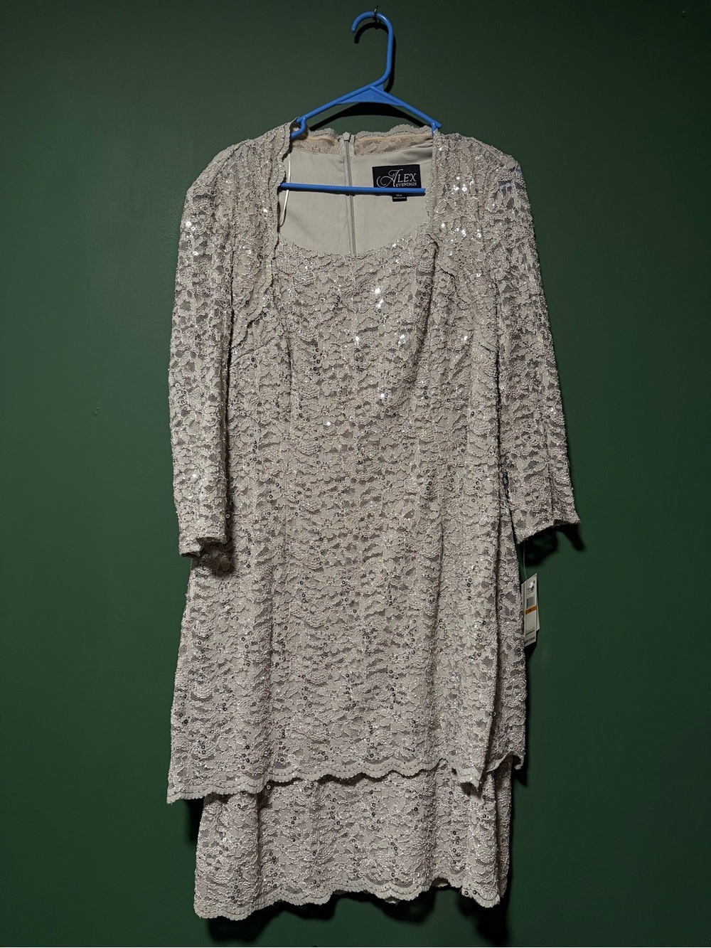 NWT Alex Evenings Platinum Dress